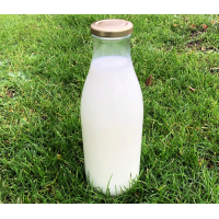 1 Litre Round Milk Glass Bottle With 43mm Twist Cap - 24 Bottles